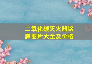 二氧化碳灭火器铭牌图片大全及价格