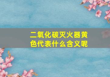 二氧化碳灭火器黄色代表什么含义呢