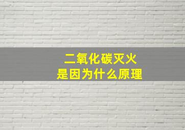 二氧化碳灭火是因为什么原理