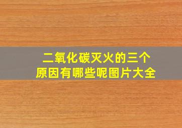 二氧化碳灭火的三个原因有哪些呢图片大全