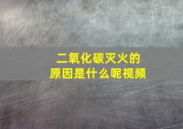 二氧化碳灭火的原因是什么呢视频