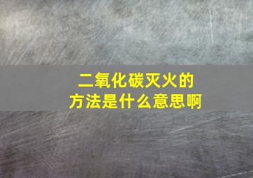 二氧化碳灭火的方法是什么意思啊