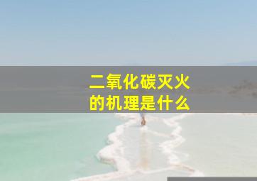 二氧化碳灭火的机理是什么