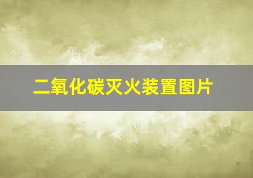 二氧化碳灭火装置图片