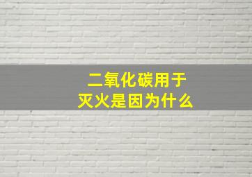 二氧化碳用于灭火是因为什么