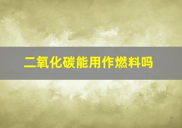 二氧化碳能用作燃料吗