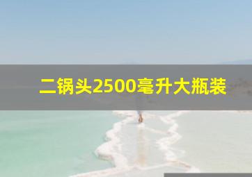 二锅头2500毫升大瓶装