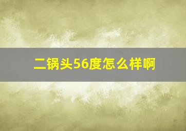 二锅头56度怎么样啊