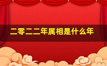 二零二二年属相是什么年