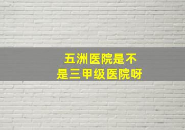 五洲医院是不是三甲级医院呀