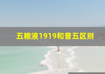 五粮液1919和普五区别