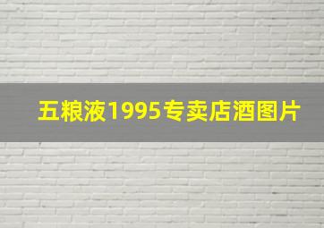 五粮液1995专卖店酒图片