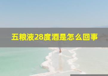 五粮液28度酒是怎么回事