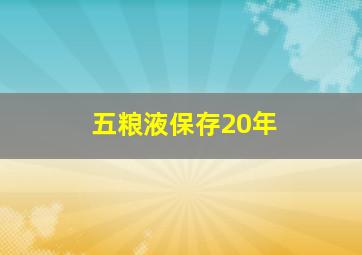 五粮液保存20年