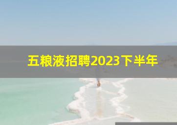 五粮液招聘2023下半年