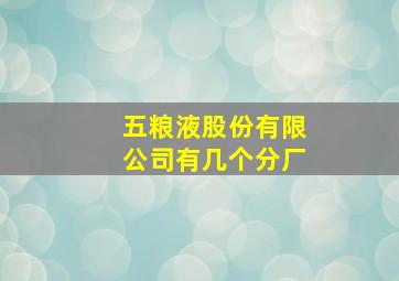 五粮液股份有限公司有几个分厂