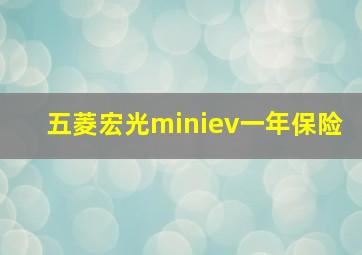 五菱宏光miniev一年保险