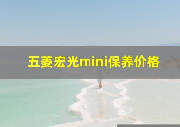 五菱宏光mini保养价格