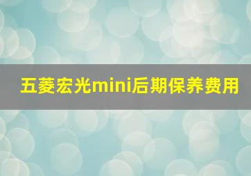 五菱宏光mini后期保养费用