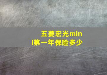 五菱宏光mini第一年保险多少