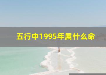 五行中1995年属什么命