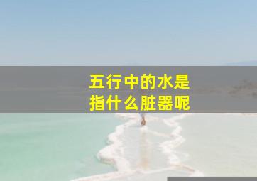 五行中的水是指什么脏器呢