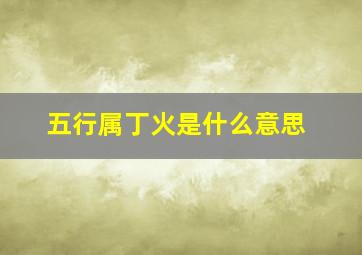 五行属丁火是什么意思