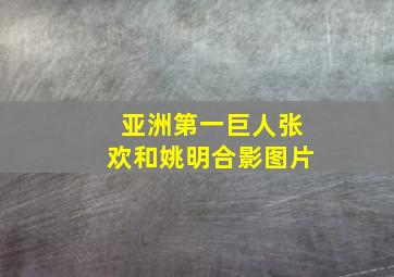 亚洲第一巨人张欢和姚明合影图片