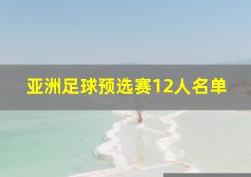 亚洲足球预选赛12人名单