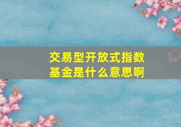 交易型开放式指数基金是什么意思啊