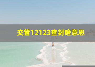 交管12123查封啥意思