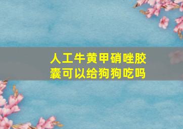 人工牛黄甲硝唑胶囊可以给狗狗吃吗