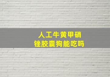 人工牛黄甲硝锉胶囊狗能吃吗