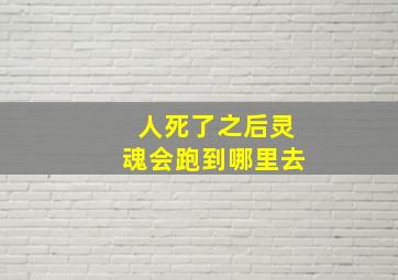 人死了之后灵魂会跑到哪里去