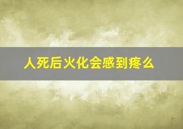 人死后火化会感到疼么