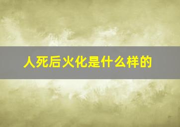 人死后火化是什么样的