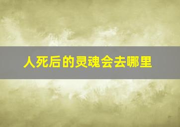 人死后的灵魂会去哪里