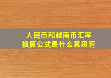 人民币和越南币汇率换算公式是什么意思啊