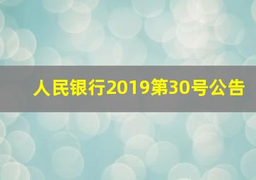 人民银行2019第30号公告