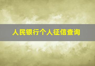 人民银行个人征信查询