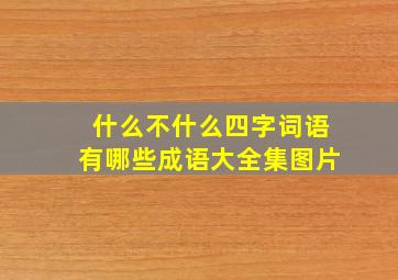 什么不什么四字词语有哪些成语大全集图片