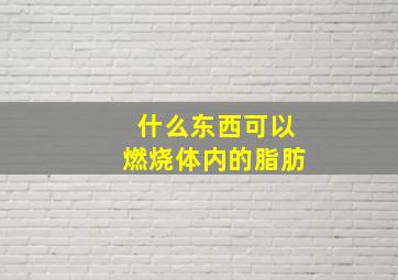 什么东西可以燃烧体内的脂肪