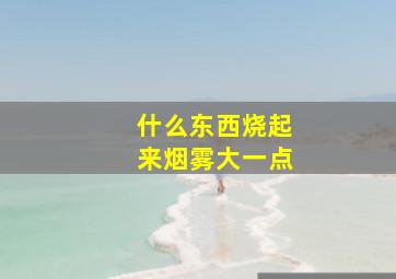 什么东西烧起来烟雾大一点