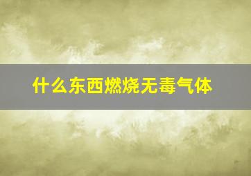 什么东西燃烧无毒气体