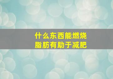 什么东西能燃烧脂肪有助于减肥