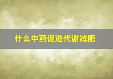 什么中药促进代谢减肥