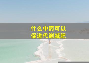 什么中药可以促进代谢减肥