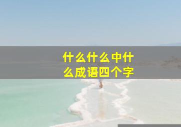 什么什么中什么成语四个字