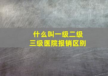 什么叫一级二级三级医院报销区别