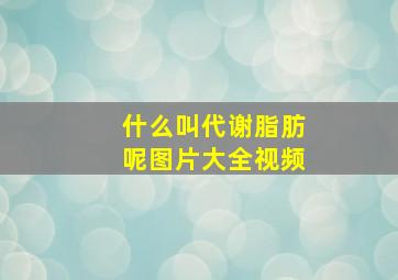 什么叫代谢脂肪呢图片大全视频